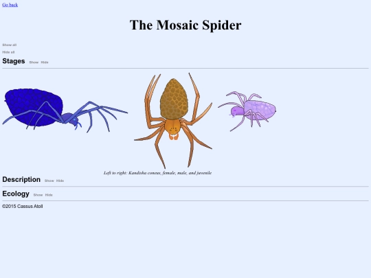 mosaic screenshot