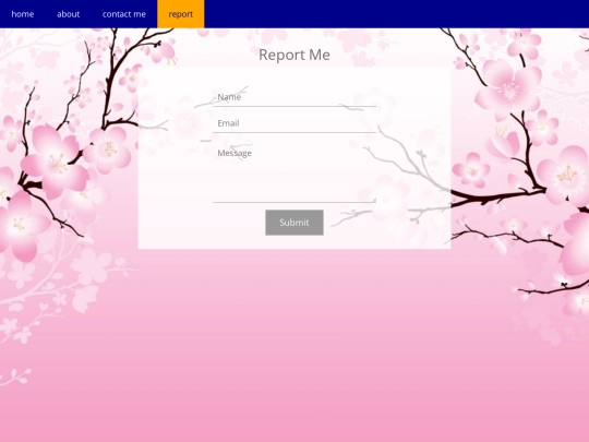 report screenshot