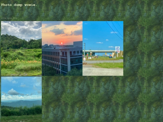 photos screenshot