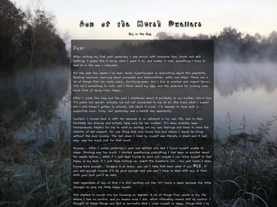 journal/20240524 screenshot