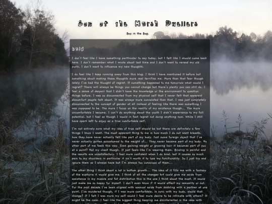 journal/20250117 screenshot