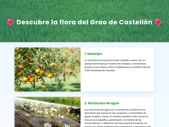 grao2 screenshot