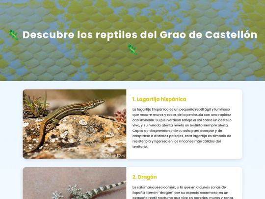 grao5 screenshot