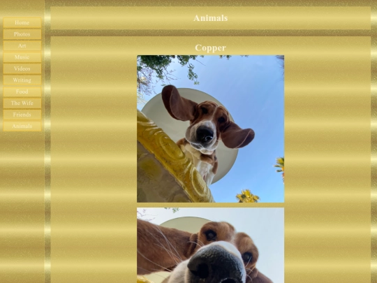 animals/animals screenshot