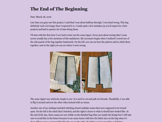 TheEndofTheBeginning screenshot