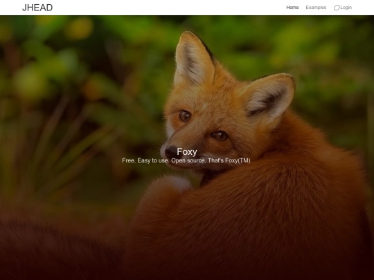 bulmaTest/html/fox screenshot