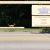 critterzone.neocities.org avatar