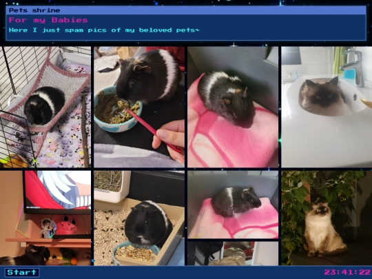 pets_shrine screenshot