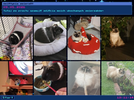 pl/pets_shrine_pl screenshot