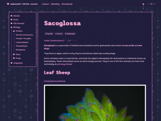 biology/critters/sacoglossa screenshot