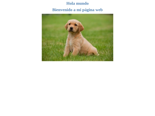 hola mundo/mi primer pagina web en word screenshot
