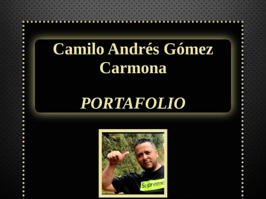 PORTAFOLIO screenshot