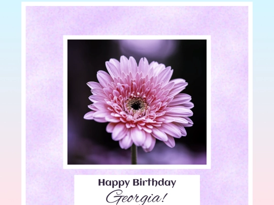 test screenshot
