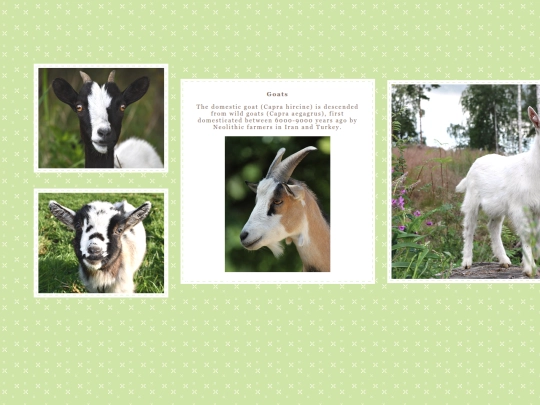 vesper/gs/goats screenshot