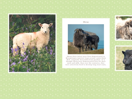 vesper/gs/sheep screenshot