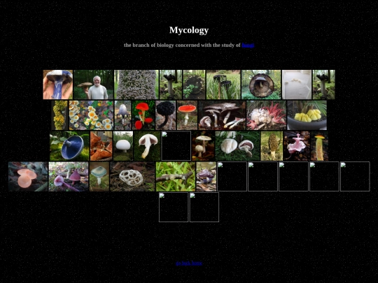 mycology screenshot