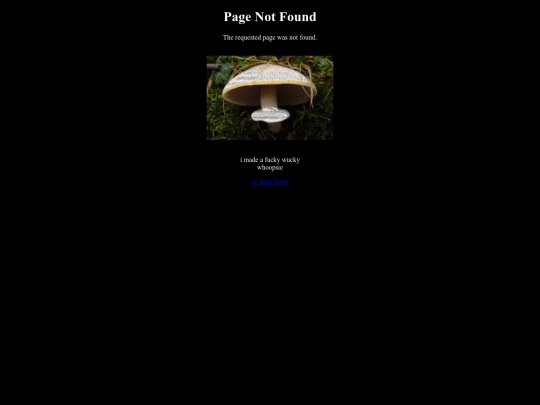 not_found screenshot