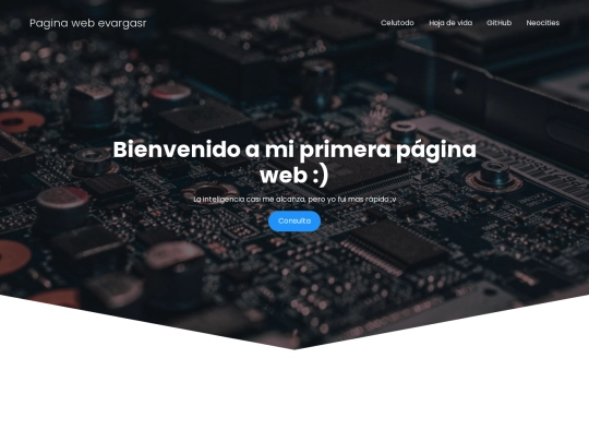 Pagina web screenshot