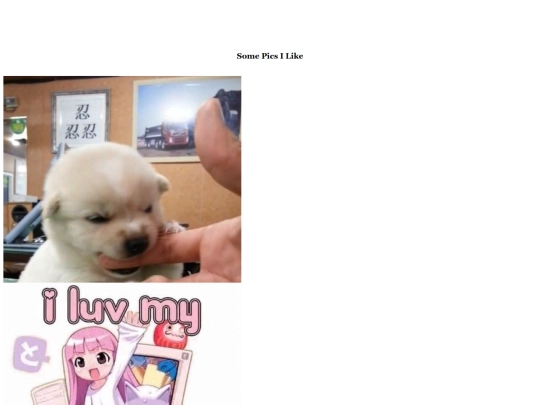 pics screenshot