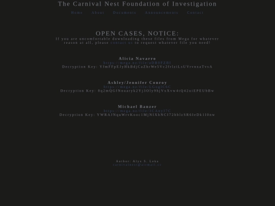 case-open screenshot
