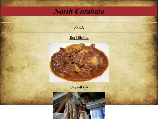 north1 screenshot