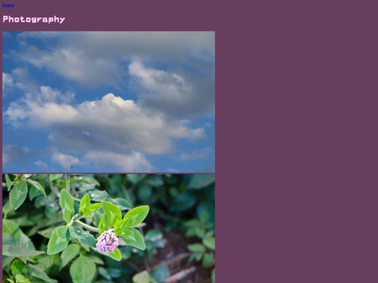 pages/photography screenshot