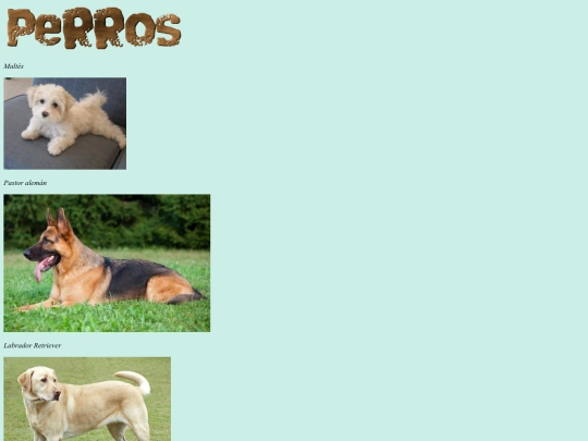 Informeishon screenshot