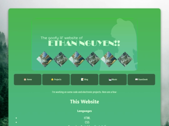 projects screenshot
