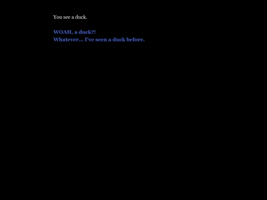 duckquest101 screenshot