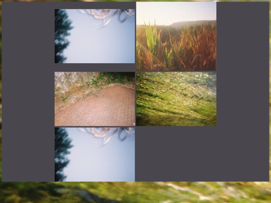 photos screenshot