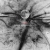 skellie.neocities.org avatar