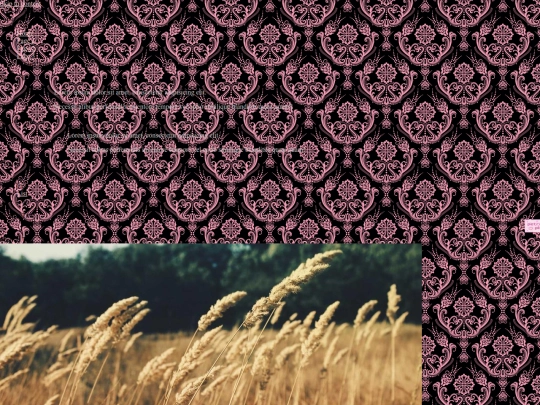 tester screenshot