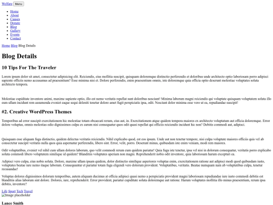 blog-single screenshot