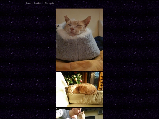 ospiti/struscio screenshot