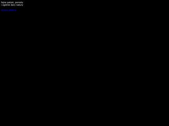patyki screenshot