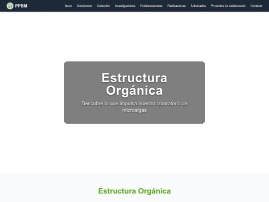 estructura_organica screenshot
