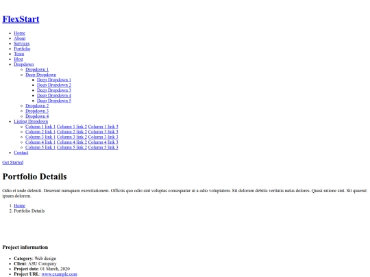 portfolio-details screenshot