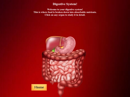 Digestive System screenshot