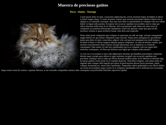 examen screenshot