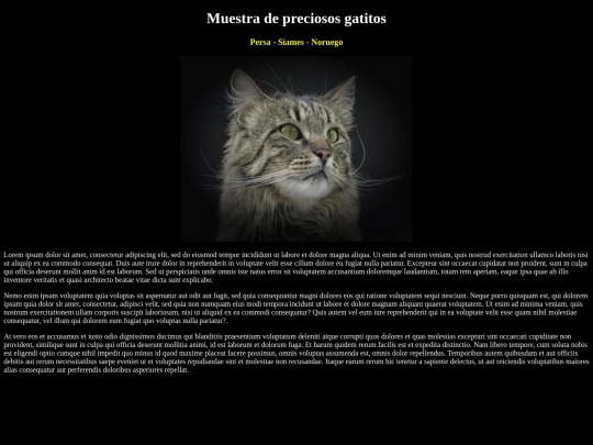 examen/noruego screenshot