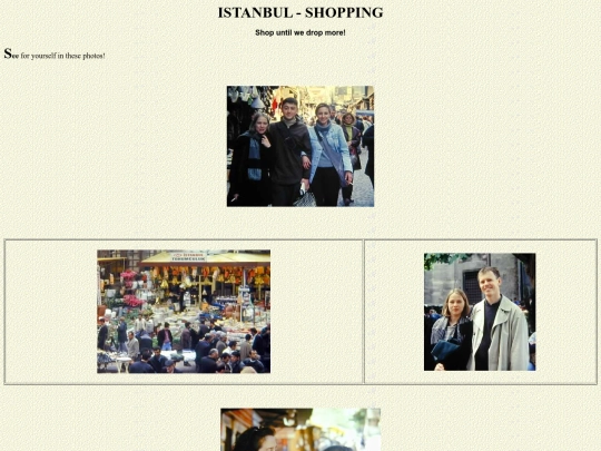 htm/shopping screenshot