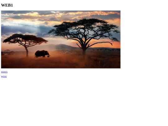 web1 screenshot