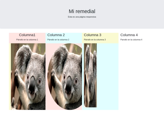 Remedial screenshot