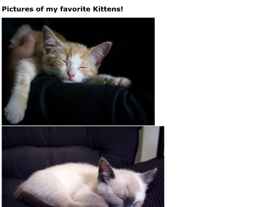 Kittens screenshot