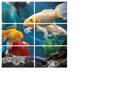 Puzzles/Puzzlee screenshot