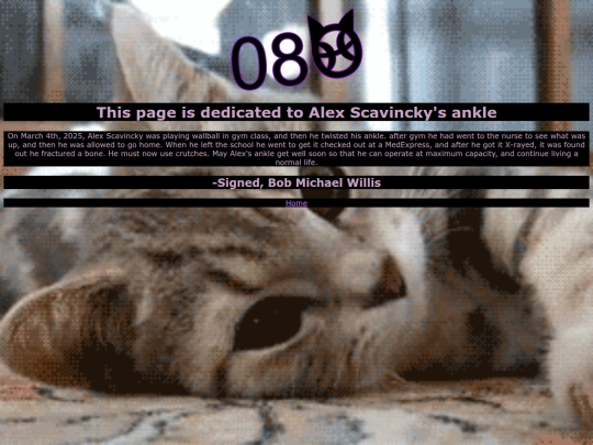 Alex-Card screenshot