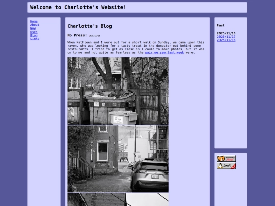 blog/251118 screenshot