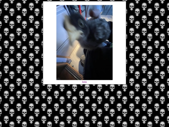 hardestpicsever screenshot