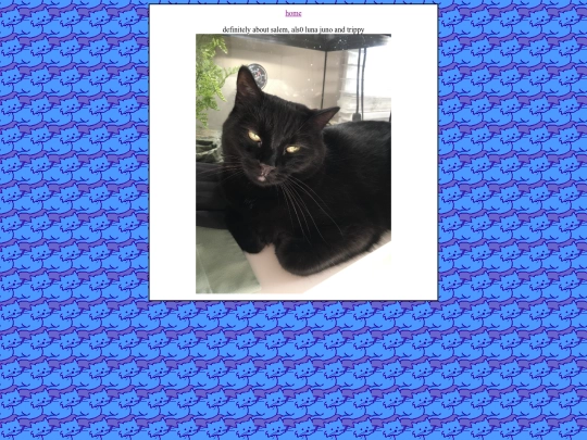 pets screenshot