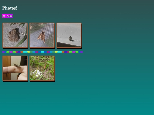 photography screenshot